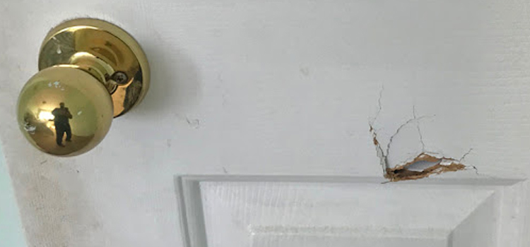 interior door hole repair Santa Maria