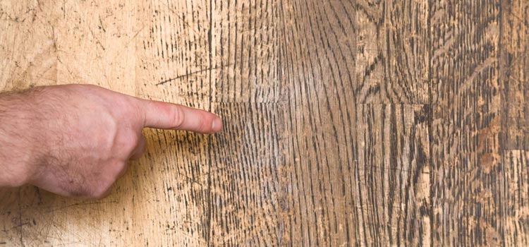 Wood Door Scratch Repair in Santa Maria